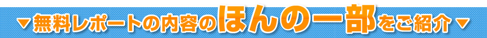 無料レポートの内容のほんの一部をご紹介